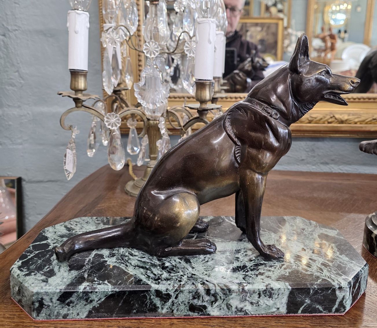 A French Alsatian Dog A French Alsatian Dog